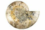 Cut & Polished Ammonite Fossil (Half) - Deep Pockets #323424-1